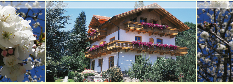 Haus Seidl - Pension Appartements